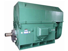 Y4504-2/1000KWY系列6KV高压电机